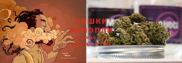 прущая мука Богданович