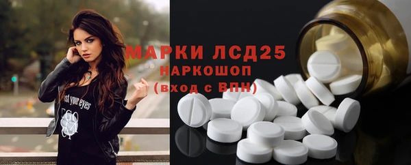 стаф Богородск