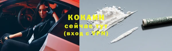 стаф Богородск