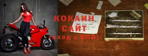 стаф Богородск
