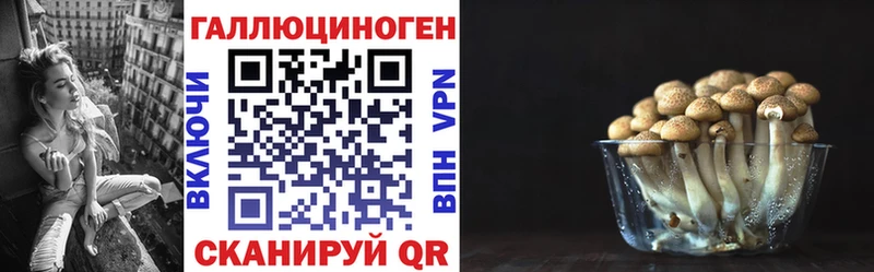 где продают наркотики  Вязьма  Галлюциногенные грибы Magic Shrooms 